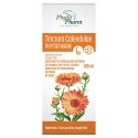 Tinctura Calendulae Phytopharm Koncentrat do sporządzania roztworu 100 ml