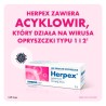 Herpex Krem lek przeciw opryszczce 50 mg/g 2 g